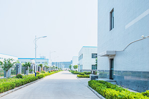 自公司成立以來，以振興和發(fā)展我國貴金屬催化劑和催化工藝為己任，已研究、開發(fā)出了活性炭負載，氧化物負載，有機物負載貴金屬催化劑，均相催化劑，手性催化劑，專用催化劑等上百種催化劑，以及一百多種催化合成/反應工藝技術(shù)。